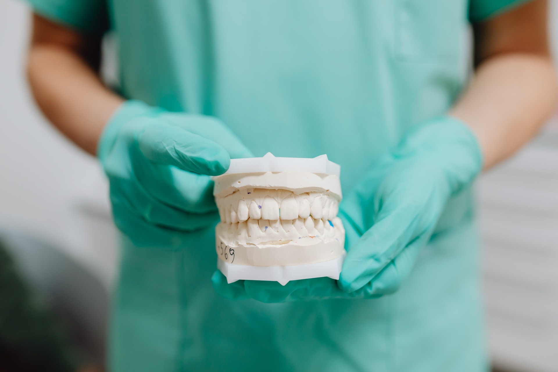 A person holding a dental cast