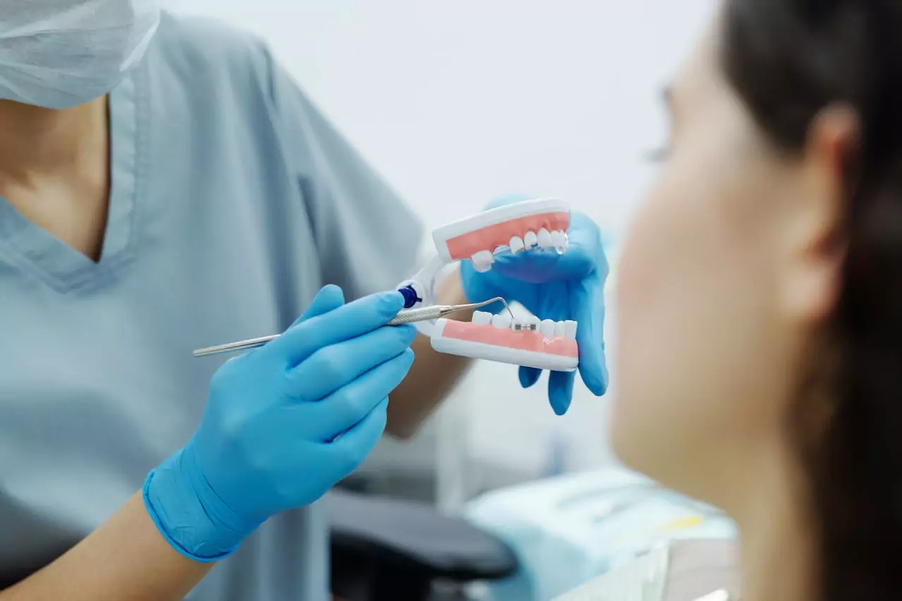 Dentist showing teeth model